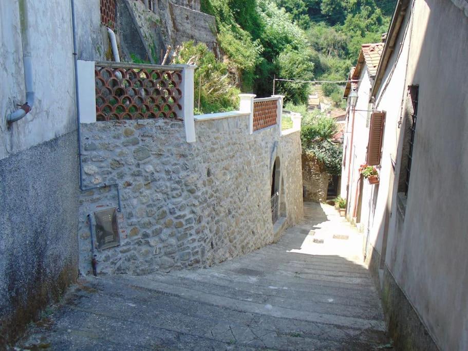 Villa Rustico San Jacopo Gallicano Esterno foto